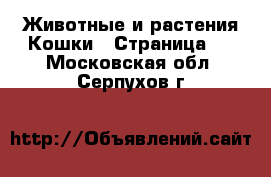 Животные и растения Кошки - Страница 4 . Московская обл.,Серпухов г.